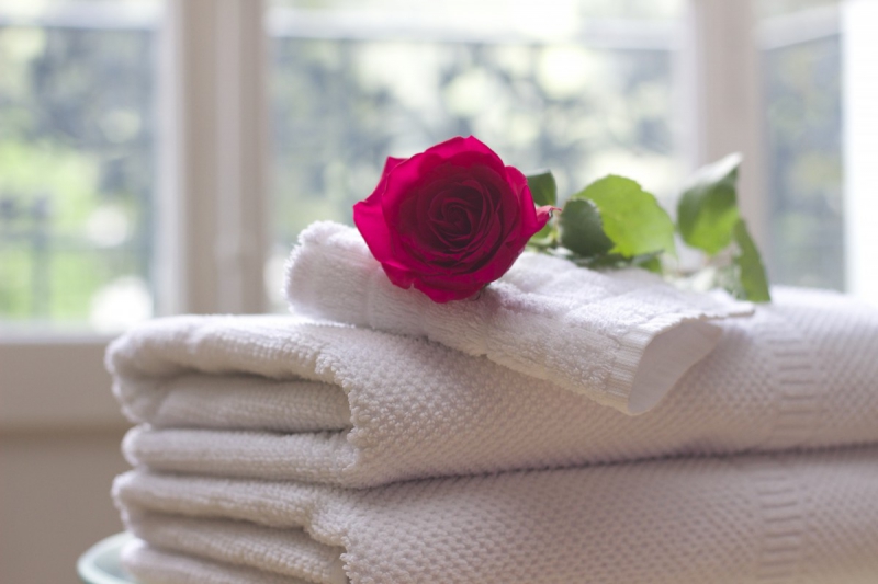 chambre-hote-VILLARS SUR VAR-min_towel_rose_clean_care_salon_spa_white_bath-731641